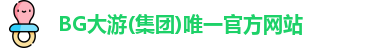 BG大游电子首页